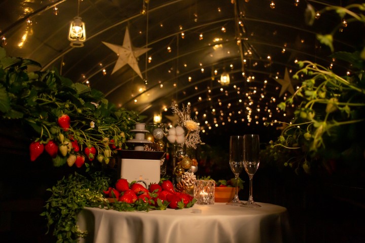 ストロベリーナイト 夜のいちご狩り ホテル井頭温泉チャットパレス